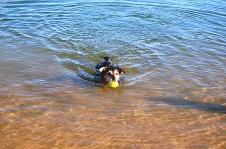 Oh my God I CAN swim!!