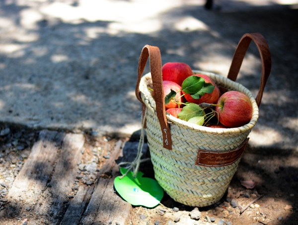 Apple basket 1